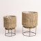 NEERGREVE Lot de 2 pots de fleurs en jacinthe d'eau avec support en métal d'intérieur pour plantes, pots de fleurs, pots de fleurs succulentes, panier de fleurs, cache-pot décoratif (jonc de mer)