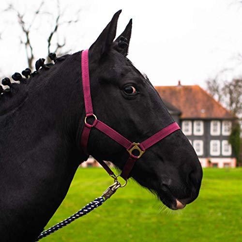 Halfter für Pferd Warmblut, Vollblut, Kaltblut – Stallhalfter, Weidehalfter, 2 Fach verstellbar an Kinnriemen und Genickstück, sicher & reißfest (Bordeaux, Warmblut (Full))