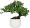 Oairse 25 cm Kunstpflanze Bonsai Baum im Keramiktopf Künstliche Pflanzen Aesthetic Japanische Bonsai Deko für Wohnzimmer Schlafzimmer Badzimmer Fensterbank Dekoration - Podocarpus Kunstbonsai