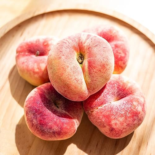 15 pcs Pfirsichbaum Winterhart Samen, Obstsamen & -Pflanzen, Kletterpflanzen Winterhart Säulenobstbäume, Garten Winterharte Stauden, Gartenpflanzen Exotische Pflanzen, Pflanzen Samen