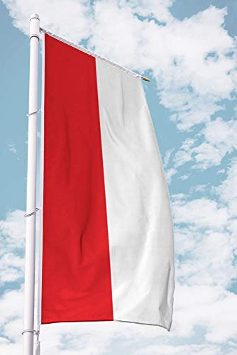 Deitert Bundesland-Flagge Hessen – 150x600 cm Hessen Flagge ohne Wappen, Fahne für Ausleger aus reißfestem Polyester