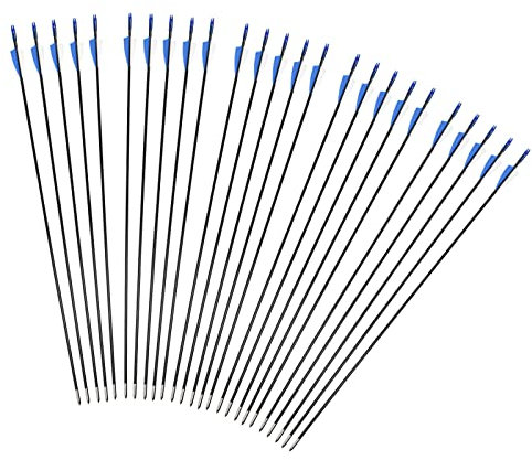 iMeshbean Fieberglaspfeile Pfeile für bogenschießen, 25 Stück Bogenpfeile 31 Zoll 6mm Fiberglaspfeil Jagdpfeile für Bogen, Recurvebogen, Sportbogen(Blau)