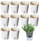 Vmxlso 10 Piezas Maceta Autorriego, Macetas con Sistema Autorriego, Macetas Autorriego Interior con Ventana Nivel Agua, Jardineras Decorativos para Interiores Exteriores 9.5cm