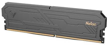 Netac DDR4 8 Go 2666 MHz RAM de Bureau DDR4 CL19 mémoire de Jeu 8 Go avec réfrigérateur pour Jeu d'ordinateur Noir