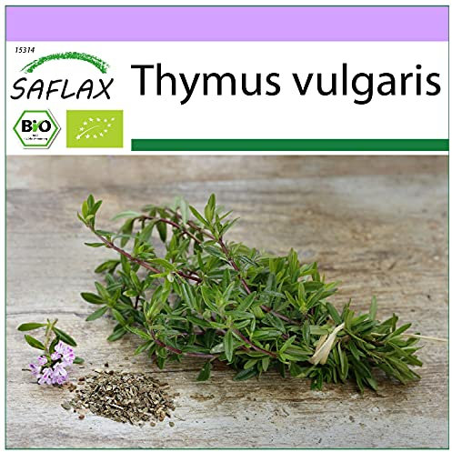SAFLAX - Ecológico - Tomillo - 800 semillas - Thymus vulgaris