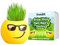 Grow Your Own Kits - Grow Your Own Hairy Smiley - Perfect Cute and Funny Gift for Men Women Kids - Fresh Grass Plant for Home and Garden Decoration