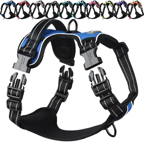 VIVAGLORY Anti Zieh Geschirr für Hunde Hundegeschirr, L, Royal, B | Antizuggeschirr mit Gepolstert Griff & Brustring, Anti Zieh Mitwachsend Ausbruchsicher & Reflektierend für Welpe Hund