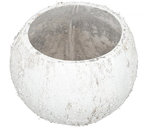 NaDeco Kokos Becher weiß Ø 10-13cm weiße Kokosnuss Schale Kokosbecher weiß echte Deko Kokosnuss Kokosnussschalen Deko Kokosnuss