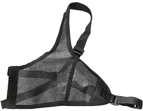 elToro Brustschutz für Frauen (L); Zubehör und Schutz beim Bogenschießen, Ausrüstung für Pfeil und Bogen