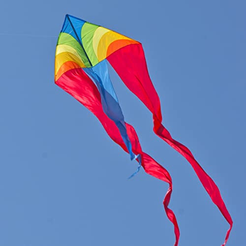 CIM Einleiner-Drachen - F-Tail Dart Rainbow - für Kinder ab 12 Jahren - Abmessung: 200x680cm - inkl. 60m Drachenschnur
