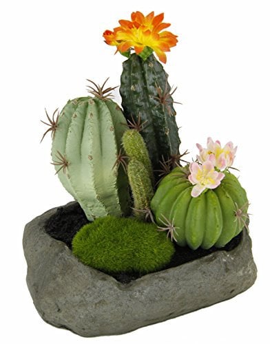 Flair Flower Künstliche Kakteen im Stein, 19 x 15 x 14 cm