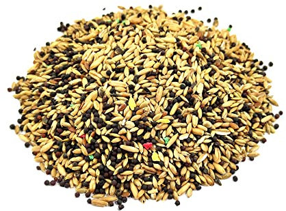 Ameisenfutter┃ 100 gr Samen Typ 2 für Körner fressende Ameisenköniginnen┃Ameisenkolonie -Ameisenfarm