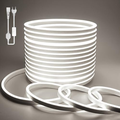BAGZY Ruban LED Néon 2M, Exterieur Blanc Lumière de Bande 220V Lumineuse 120 LED/M Étanche IP65 Lampe de Flexible Imperméable Découpable Intérieure,Inclus Adaptateur Secteur,pour Chambre, Cuisine