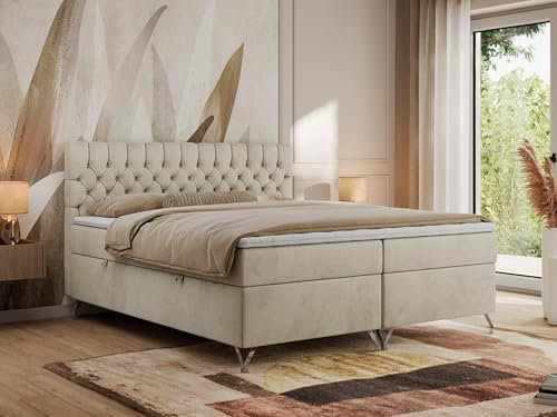 MKS MEBLE Boxspringbett 200x200, Bett 200x200 mit Matratze H3, Boxspringbett 200x200 mit Bettkasten und Topper, Polsterbett 200x200 Füße - GRIMALDI - 200x200 - Beige Velvet - H3