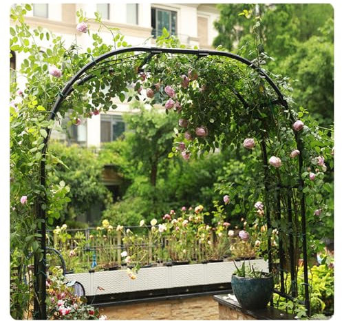 Metal Arceau à Rosiers,Arche De Jardin en Fer Forgé,Accessoires pour Porte - Fleurs Arc en Fer,pour Cérémonie,Mariage,Jardin, Intérieur Extérieur Décoration,Fête De Mariage(Size:60cm/2ft,Color:Noir)