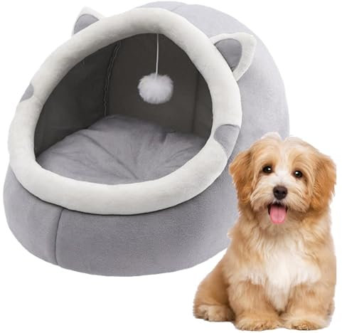 Katze Bettchen, Katzenhöhle, Katzenbetten für den Innenbereich mit hängendem Spielzeug | Abnehmbares, waschbares | Weiche Katzenbettchen im Innenbereich, für Katze und Welpen