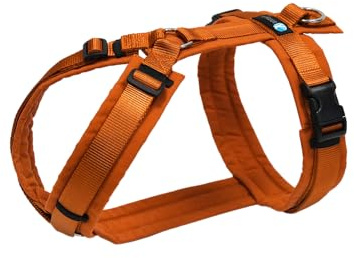 Anny-X Brustgeschirr Fun Ahorn | Hundegeschirr Größe S (Brustumfang 52-64 cm)