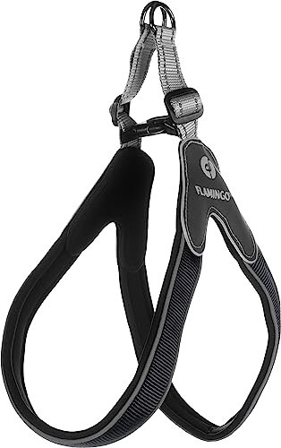 Easy Geschirr HILKA SCHWARZ XXL 56-66CM 30MM