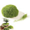 100G Künstliches Moos Zur Dekoration, Handgefertigte Diy-Gartenkunst, Wandblumenladen, Bonsai-Landschaftsdekoration, Künstliches Simuliertes Moos Für Blumentöpfe Im Innenbereich (Hellgrün)