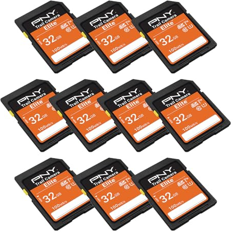 PNY 32 GB Elite Class 10 U1 V10 SDHC Trail-Kamera-Flash-Speicher lesen bis zu 100 MB/s, UHS-I, HD-Foto, HD-Video, für Outdoor-Kameras, DSLR-Kameras, taktile Nutzung, Wildtier-Enthusiasten, 10 Stück