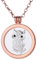 Morella Damen Halskette Rosegold 70 cm Edelstahl mit Amulett und Coin 33 mm Eule Silber in Schmuckbeutel