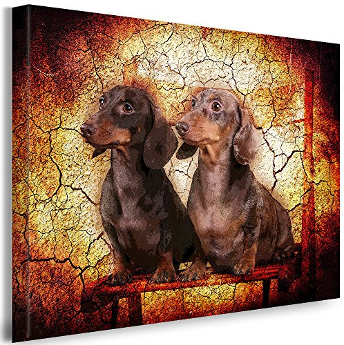Julia-Art - Bilder Dackel Hund Leinwand mit Keilrahmen 40 x 30 cm Leinwandbild XXL Wandbild Tiere Kunstdrucke Tierwelten Bild Wanddesign Wanddekoration c-642v-57