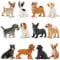 toymany 12PCS Mini Dog Figurines Toy Set, Realistic Detailed Plastic Puppy Figures Playset, Hand Painted Dogs Animals Toy, Cake Toppers Easter Eggs Christmas Birthday Gift for Kids Toddlers