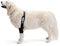Ortocanis - Ellenbogenbandage für Hunde - Ellenbogenschoner für Linkes - Bei Arthrose im Ellbogen - Hilft Schmerzen und Entzündungen zu reduzieren - Größe: M 16.1-20.5 cm