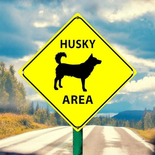Metallschild mit Aufschrift Husky Area, 30,5 x 30,5 cm, Beware of Danger Animal, rostfrei, gelbe Warnung, Aluminium-Blechschilder für Straßen, Vororte, wilder Zoo, Park, Straße, Hof,