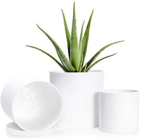 D'vine Dev Juego de 3 macetas Minimalistas pequeñas de plástico cilíndricas de 4, 5 y 6 Pulgadas, con Agujero de Drenaje y platillos sin Costuras, Color Blanco