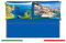 Set mit 2 Kissenbezügen GRAFIC Berühmte Landschaften Napoli Amalfi Capri (Capri)