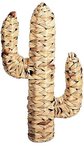 marque Fornord Cactus en Jacinthe d'eau H45