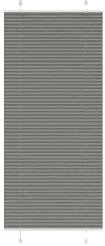 vidaXL Plissee Anthrazit 100x200 cm Stoffbreite 99,4 cm Polyester