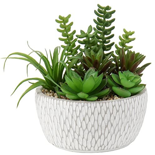Briful Kunstpflanze Sukkulenten Künstliche Zimmerpflanze Sukkulentenarrangement Dekorative Tischdeko Deko Wohnzimmer Sukkulente im Zementtopf für Badezimmer Schreibtisch Sideboard Höhe 16cm