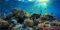 MIRRORANG 120x61cm Durable Vinyl Aquarium Background Coral Tropical Fish Underwater World Fish Tank Background
