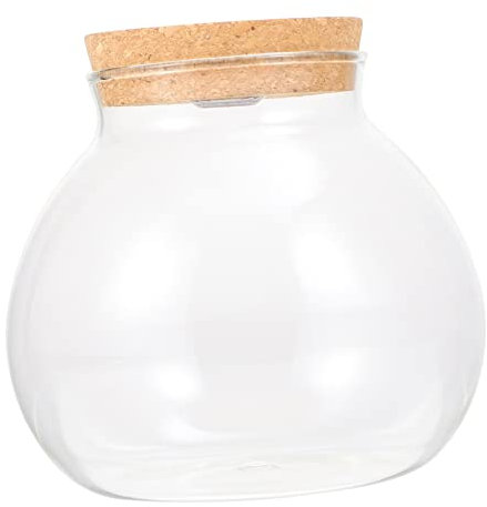 BELLIFFY DIY Mikro-landschaftsflasche Glas Terrarium Blumenvase Aquarium Fischbehälter Landschaftsflasche Dekoration