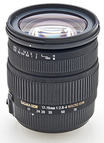 Sigma 17-70 mm F2,8-4,0 DC Makro HSM-Objektiv (72 mm Filtergewinde) für Sony Objektivbajonett