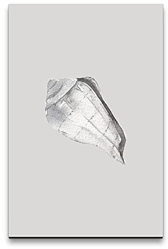 Paul Sinus Art Wandbild auf Leinwand 60x90cm Seemuschel Grau Wasserfarben Aquarell Schlicht Hell