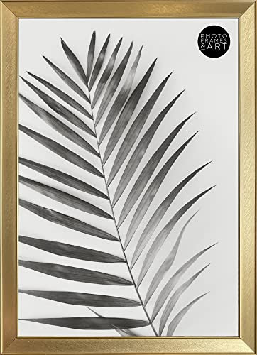 PF+A A3 Photo Frame - Glass Window - Richmond Gold Poster Frame (29.7x42cm)