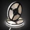 LED Nord LED Strip 5m kaltweiß selbstklebend dimmbar kürzbar - CW LED Streifen kaltweiss 24v - LED Band weiß ohne Kabel ohne Trafo - LED Stripes TV Fernseher Küche