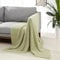 Amazon Basics Room Décor Knitted Throw Blanket, 127 x 152 cm, Sage Green