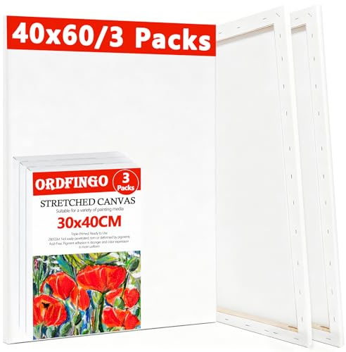 Ordfingo Stretched Canvas for Painting, 6 Packs 30x40, 40x60CM Canvas Set
