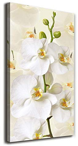 Tulup - Impression sur Toile - 50x100 - Tableaux pour la Mur - Tirages sur toile - Peintures sur Toile - Image sur Toile - prete a Suspendre - Décoration - Fleurs et plantes - Blanc - Orchidée blanche