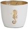 Seaside No.64 - Maritime Windlichter Baltic aus Metall mit ausgestanzten Motiven - Verschiedene Farbkombinationen für Teelichter & Stumpenkerzen in Haus und Garten (Seepferdchen - weiß, Gold)