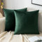 EMEMA Samt Kissenbezug Kissenhülle 45x45 cm Dekorative Dekokissen Dunkelgrün Sofakissen Lendenkissen Wurfkissenbezug mit Verstecktem Reißverschluss Sofa Schlafzimmer 2er Set