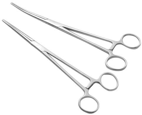 HSIXHAF 2 PCS Tipi Pinzette in Acciaio Inox Forbici Punta Smussata.Pinza per Pesca,Forbici da Toelettatura per Animali Domestici,Clip di Bloccaggio per Pulizia dell'Orecchio Animali Domestici,12,5cm