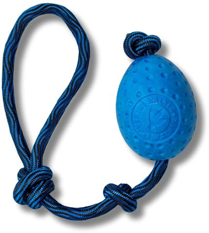 KIWI WALKER Hundespielzeug Let's Play! Egg | Wurfspielzeug