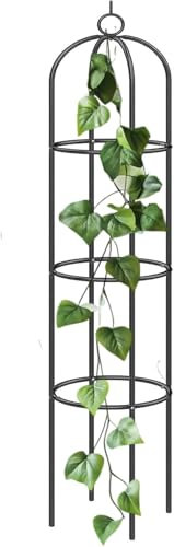 ComfyNex Garden Arch Black Metal - Steel Frame Arches for Climbing Plants, Vegetables, Roses, Indoor/Outdoor, Christmas and Wedding Decorations Archway (1, Black Garden Obelisk)