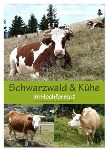 Schwarzwald und Kühe im Hochformat (Wandkalender 2026 DIN A2 hoch), CALVENDO Monatskalender: Der Schwarzwald, die Heimat der Hinterwälder Kühe. (CALVENDO Tiere)