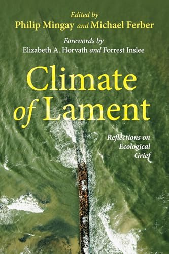Climate of Lament: Reflections on Ecological Grief